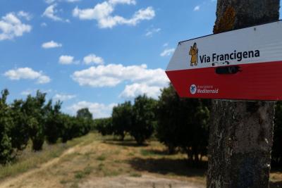 Via_Francigena_ph Marta Zarellifrancigena_cammino_firenze_siena_san_gimignano_trekking_viaggio_a_piedi.jpg