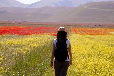 fiorita-castelluccio-norcia.jpg