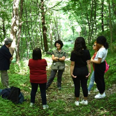 Forest Bathing al Lago di Fiastra