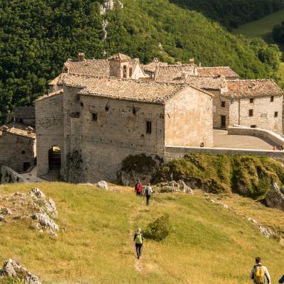 Elcito e la faggeta di Canfaito
