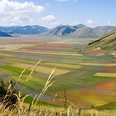 Castelluccio and its magnificent bloom