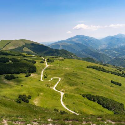 Monte Nerone: vetta, faggete, panorami