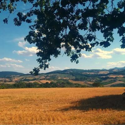 Staffolo, Lands of Verdicchio - Morning Stroll and Final Tasting