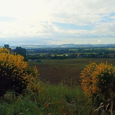 Montemarciano - sulla soglia della Pianura