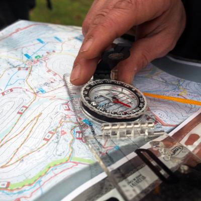 Bussola, carta, olio e vino! Caccia al tesoro tra vigne e uliveti