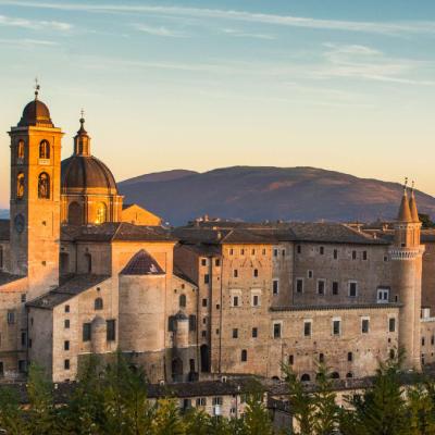 Gli oratori e le confraternite ad Urbino, con guida turistica