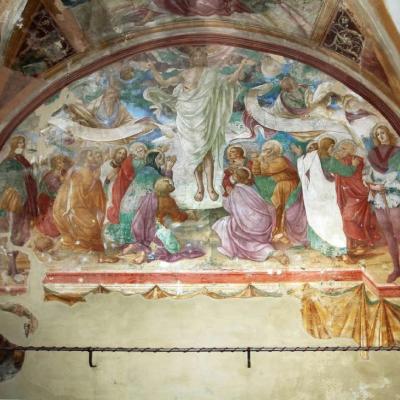 I tesori nascosti di Pergola, con guida turistica