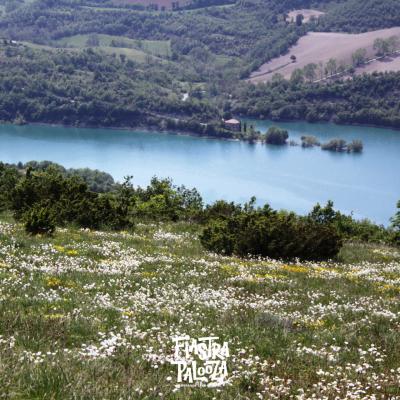 Il Lago di Fiastra tra natura e meraviglia | Escursioni nella natura