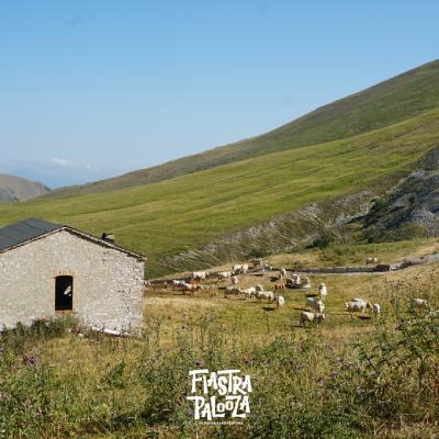 Nel selvaggio mondo della valle di Rio Sacro fino alla Croce di Monte Rotondo | Escursioni nella natura