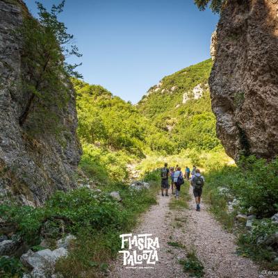 Rio Sacro, la valle incantata | Escursioni nella natura