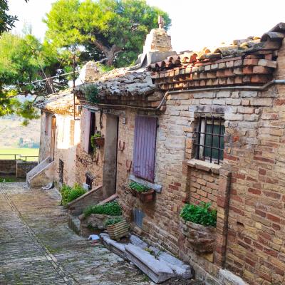 Natura e storia lungo le antiche mura di Civitanova Alta