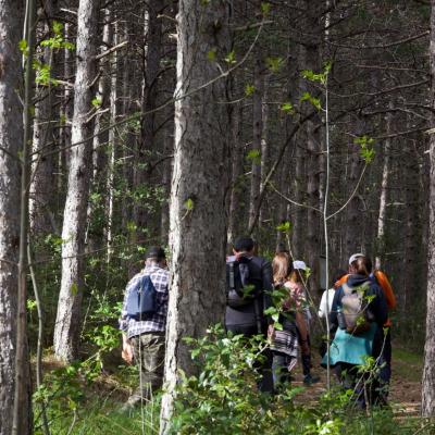 Passeggiata naturalistica a San Lorenzo: La resilienza della natura