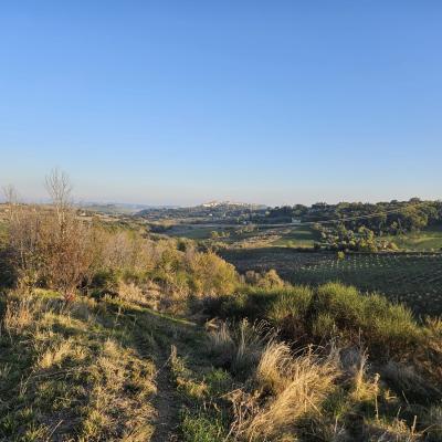Passeggiata naturalistica al tramonto: dove la faggeta incontra la macchia mediterranea