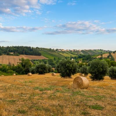 Cammino da Collevario a Villa Potenza