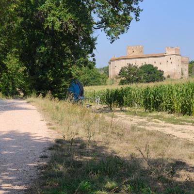 Cammino da Tolentino al Castello della Rancia