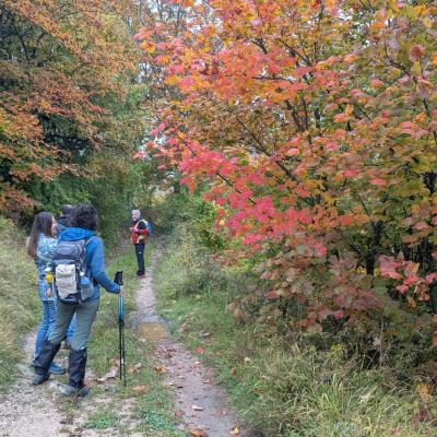 Tra le faggete del Poggio Martello nei colori autunnali