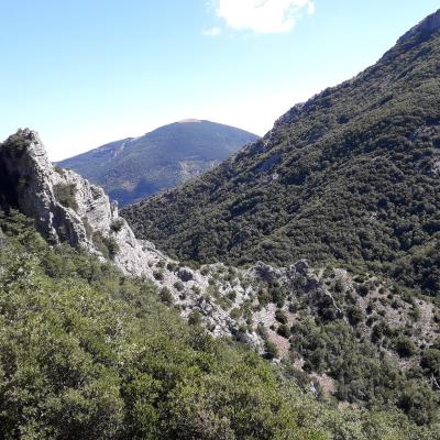 Viaggio a piedi nelle Marche: trekking nel cuore del Montefeltro