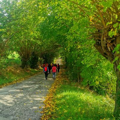Cammino Porta d'Oriente
