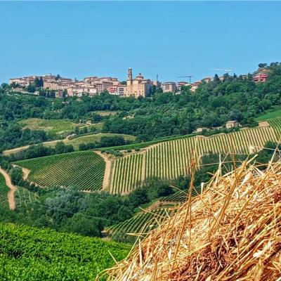 Storia e natura. Montalto delle Marche e la Valdaso