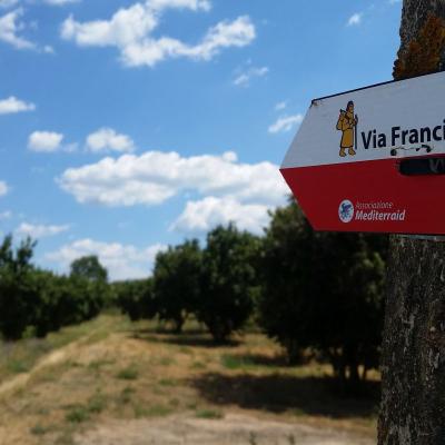 La Via Francigena, da San Miniato a Siena