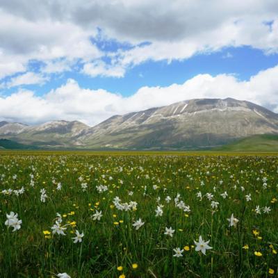Grande Anello dei Sibillini, da Montegallo a Cupi