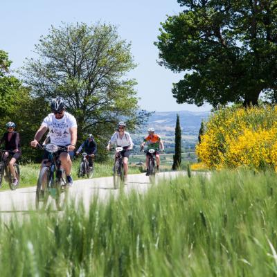Anello dei Borghi Ascolani in e-bike