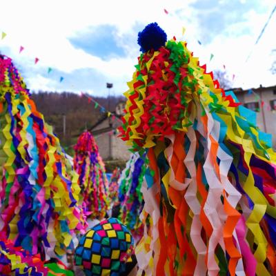 Montalto delle Marche e i Carnevali storici del Piceno
