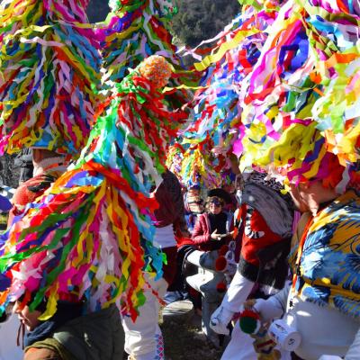Montalto delle Marche e i Carnevali storici del Piceno