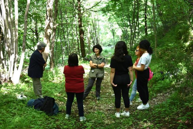 forest-bathing-08.jpg