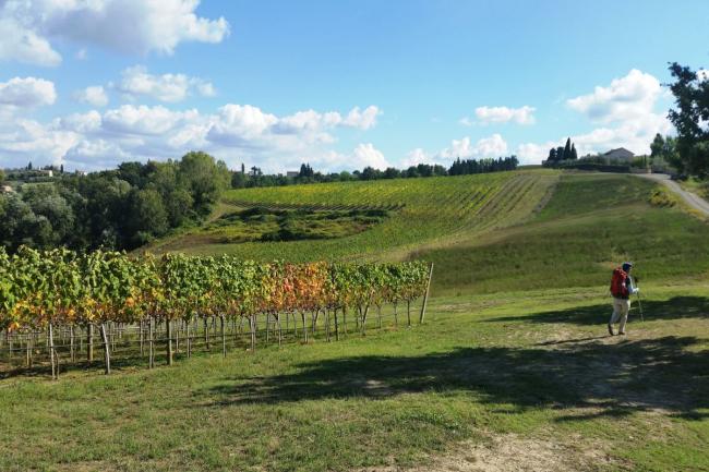 San_Miniato_Gambassi2_ph Marta Zarellifrancigena_cammino_firenze_siena_san_gimignano_trekking_viaggio_a_piedi.jpg