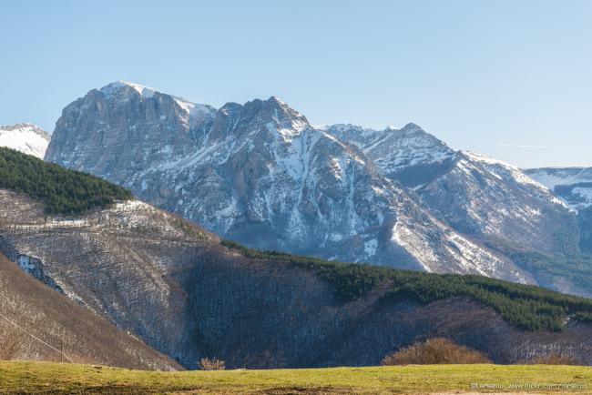 bove innevato.jpg
