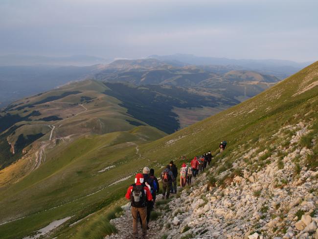 marche-vettore-1.jpg