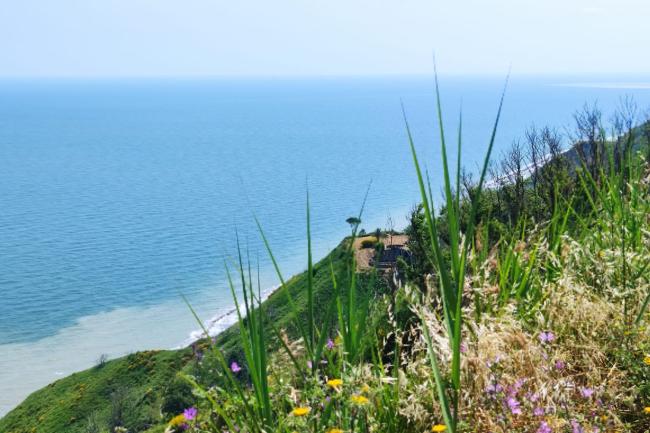 ciclo-panoramica-san-bartolo.jpg