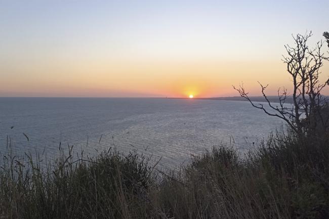 alba-san-bartolo.jpg