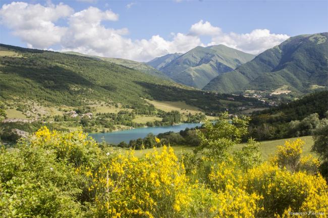 lago-di-fiastra-ginestre-lago.jpg