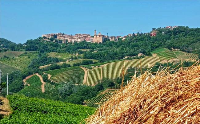 laboratorio-montalto-delle-marche-scuole.png