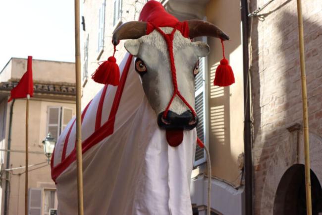 bove_fintooffida_bove_finto_carnevale_piceno_maschere_festa_ascoli_piceno_marche_montalto_marche.jpg