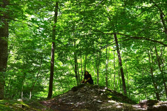 forest-bathing-01.jpg