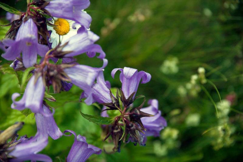 Escursioni Ponti di Pasqua, 25 aprile e Primo Maggio nelle Marche